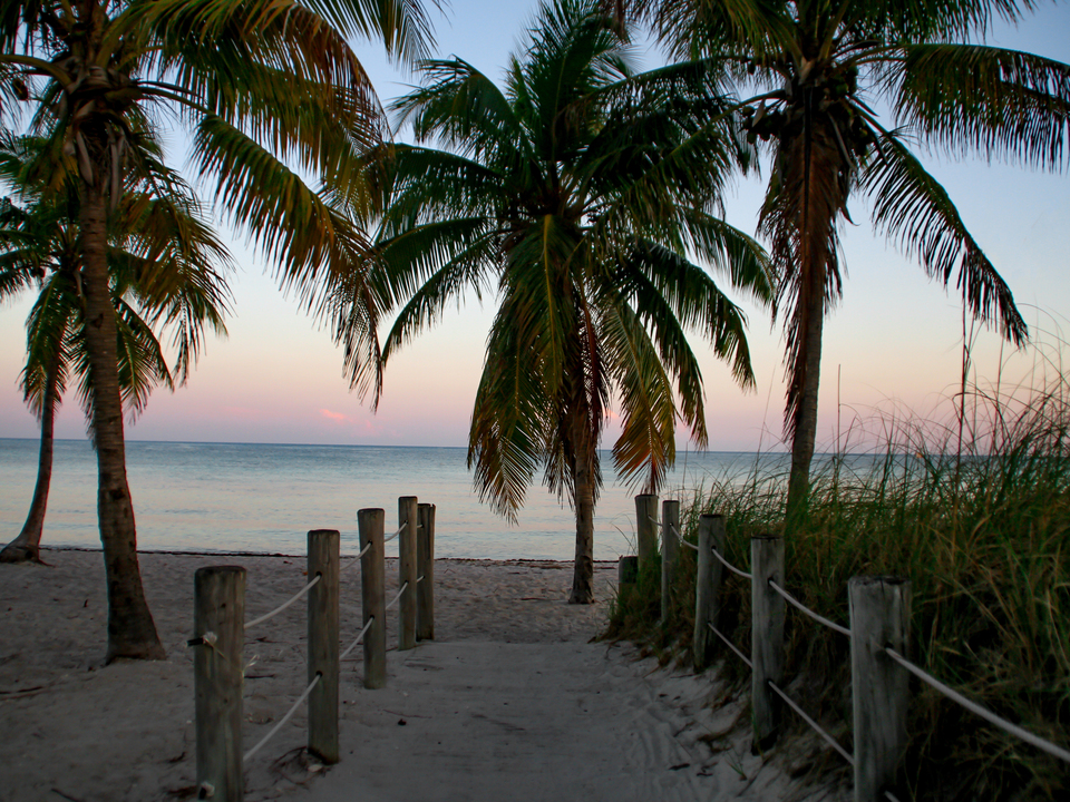 Key West Sunset Palms