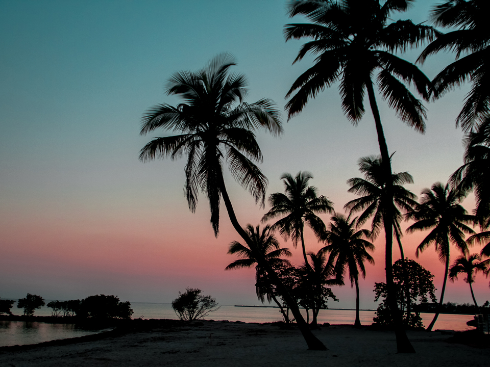 Key West Sunset Silhouette