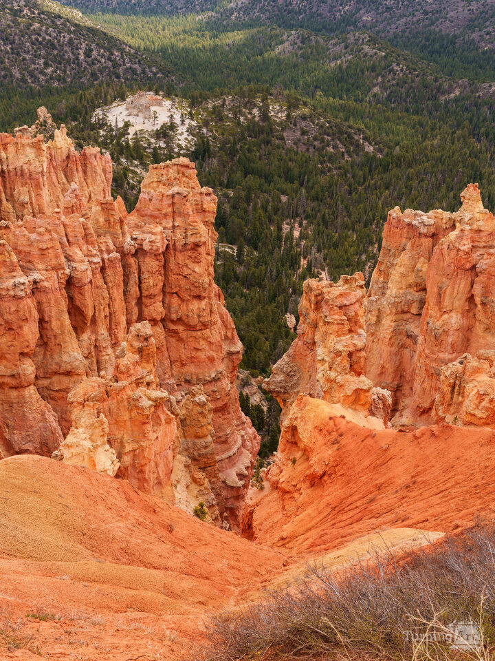 Ponderosa Point Bryce Canyon Vertical