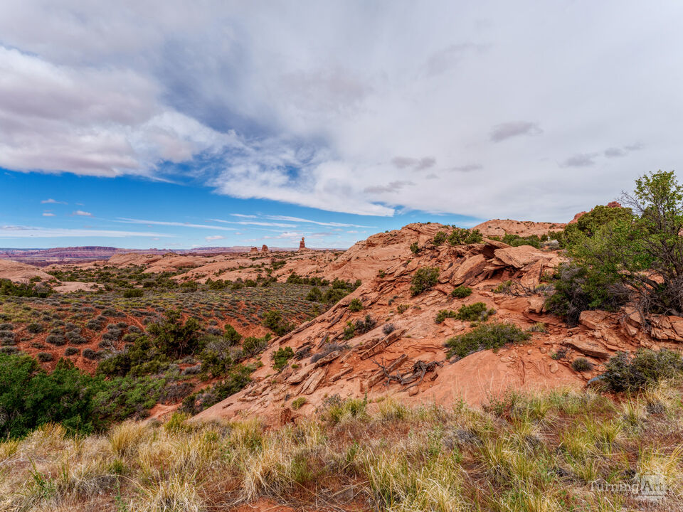 Arches Window Road View