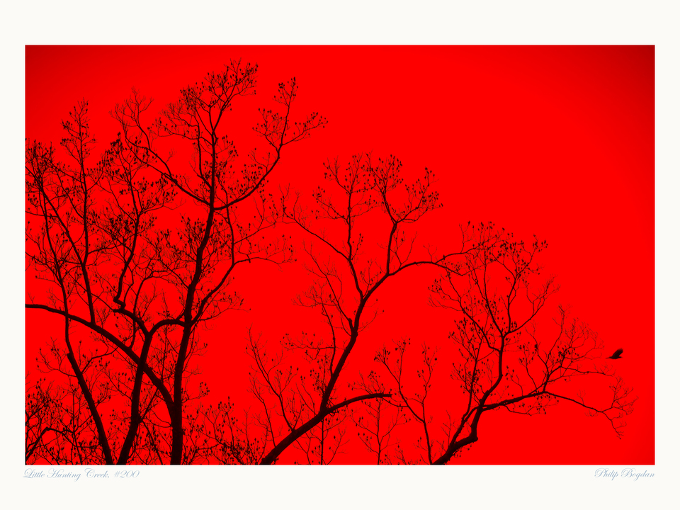 Little Hunting Creek, #200