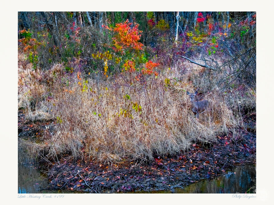 Little Hunting Creek, #199