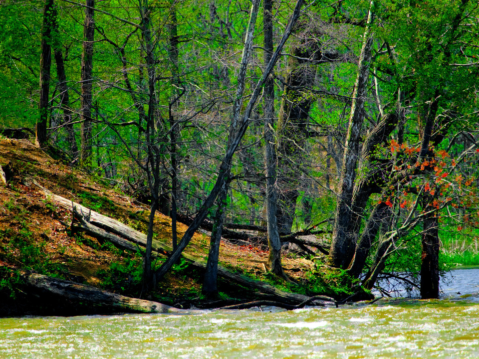 Little Hunting Creek #197