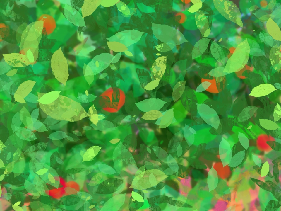 Nature 3