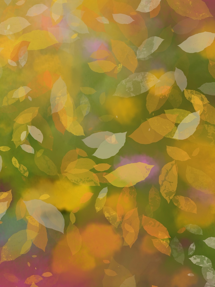 Nature 13