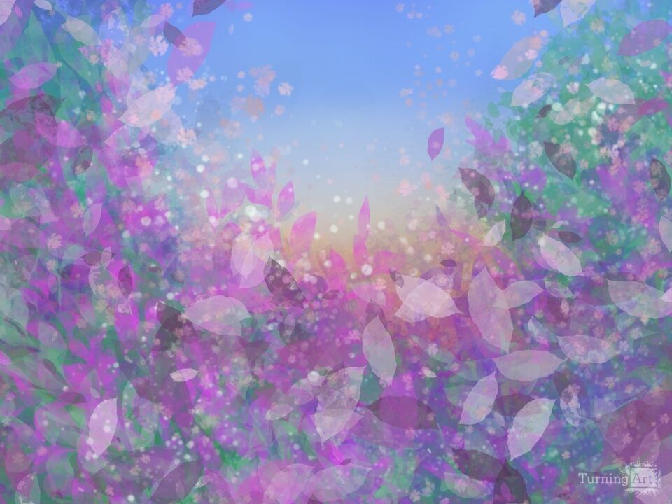 Nature 16