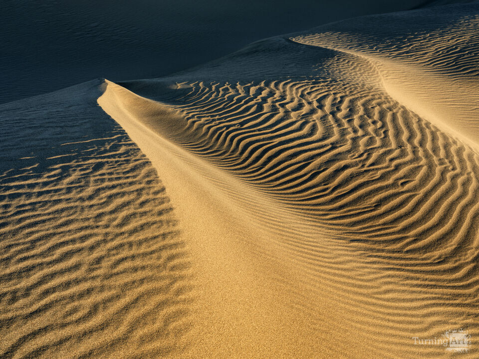 Transient Dune Impressions, 9