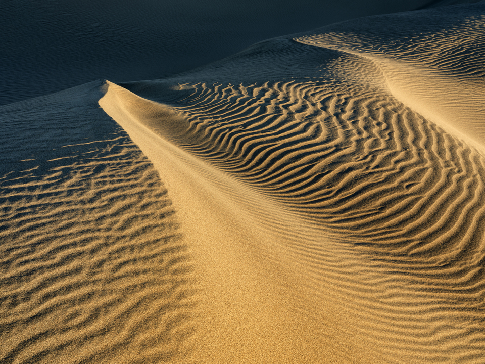 Transient Dune Impressions, 9