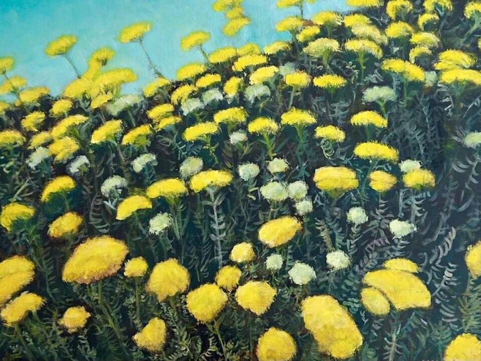Yellow fields of gold