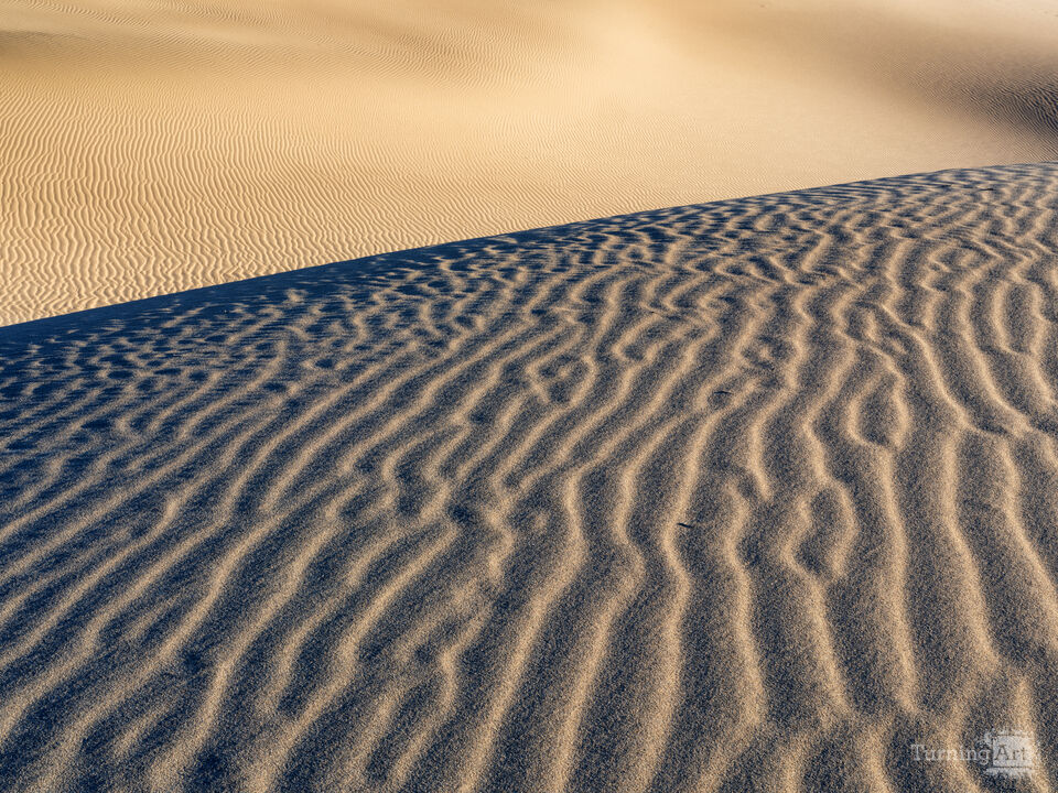 Endless Dune Ripples