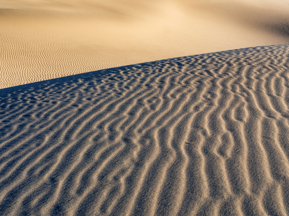 Endless Dune Ripples