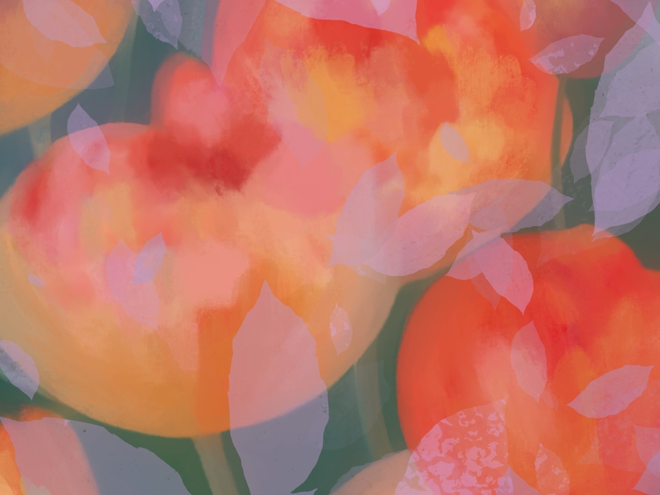A Field in Quiet Bloom