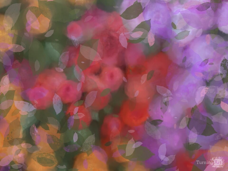 The Language of Flowers