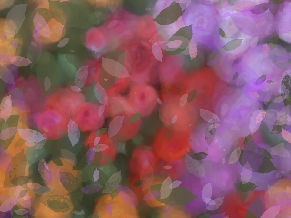 The Language of Flowers