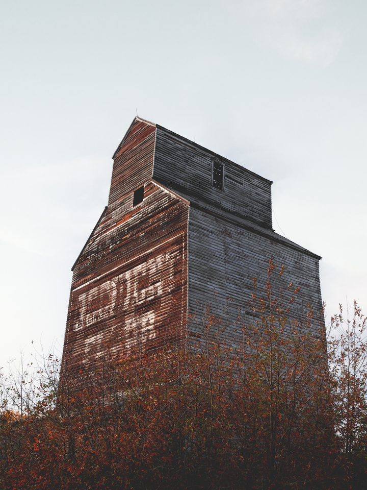 Occident Flour