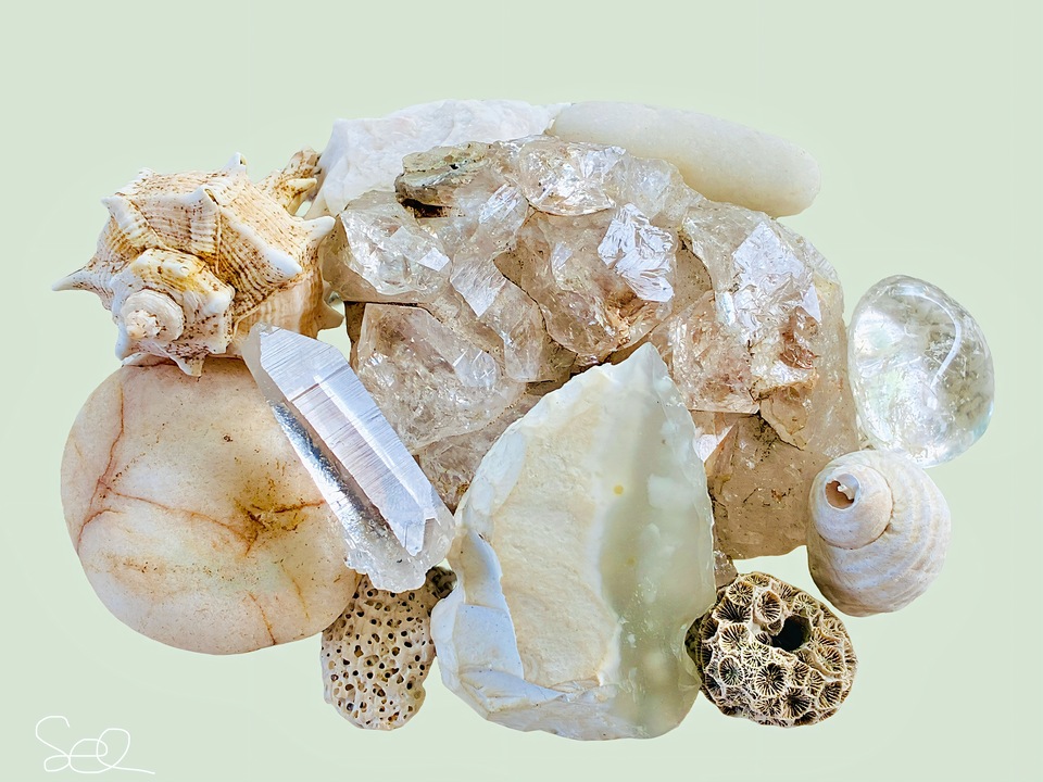 Storia naturale