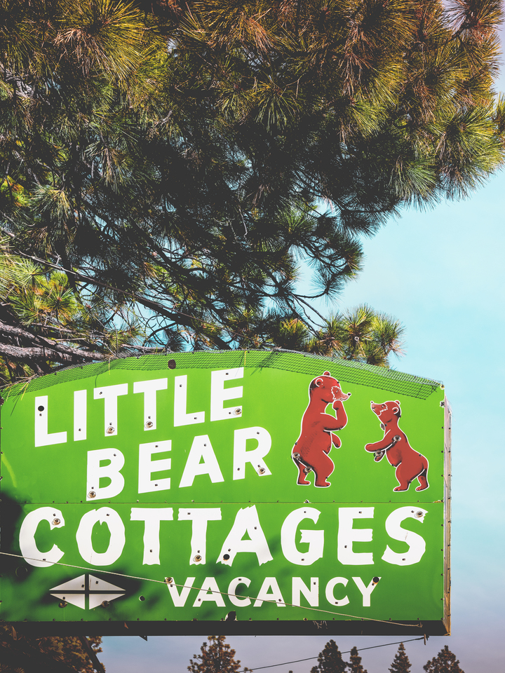 The Little Bear
