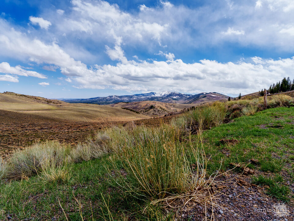 Peaks Above Hogan Pass Utah