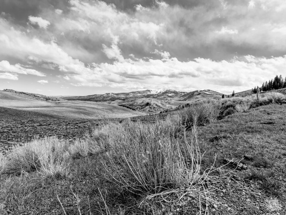 Peaks Above Hogan Pass Utah Grayscale