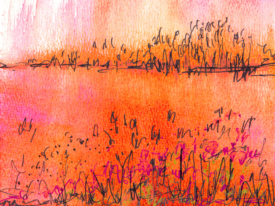 Wildflowers