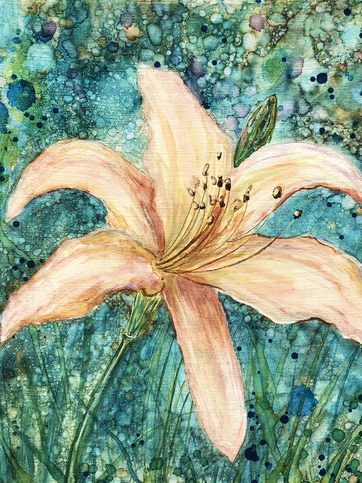 Blush Daylily