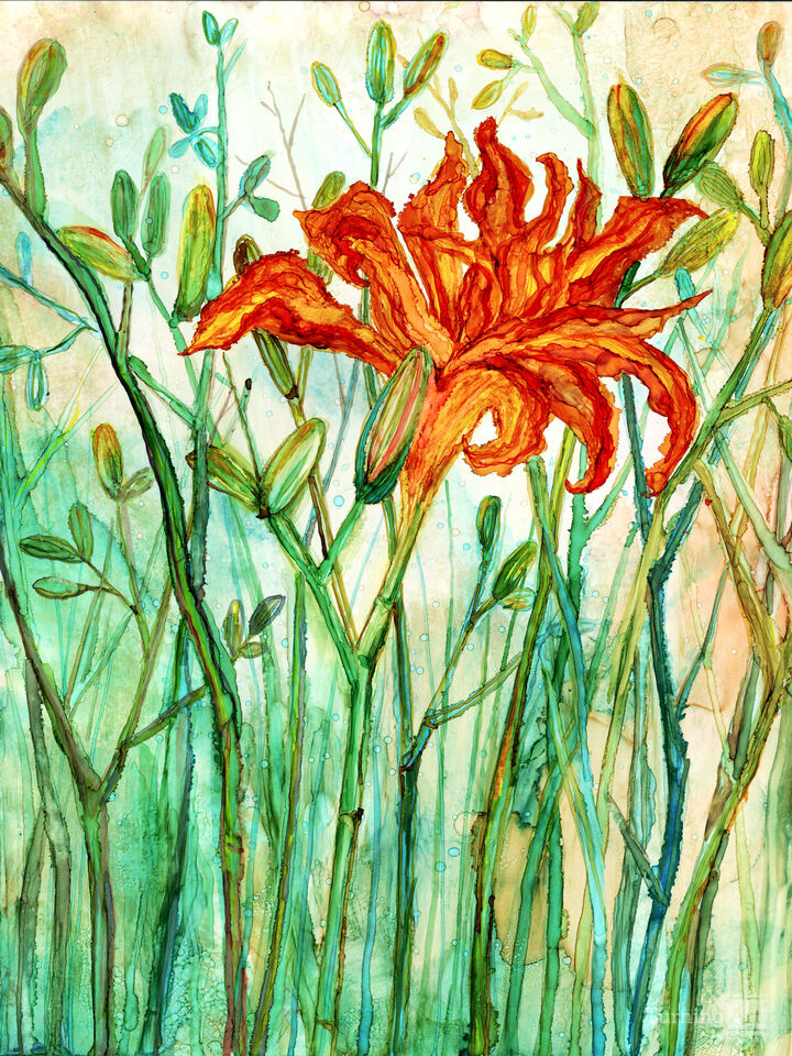 Orange Daylily