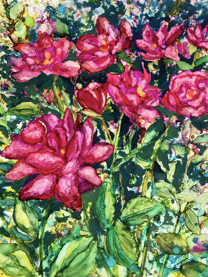 Pink Roses