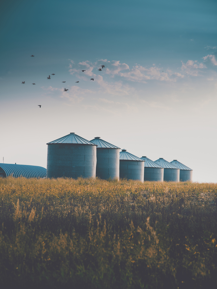 Summer Silos