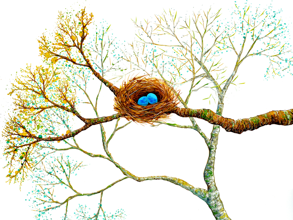 Bird Nest