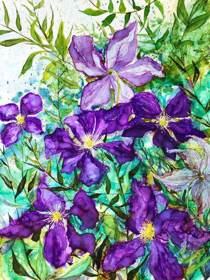 Purple Clematis