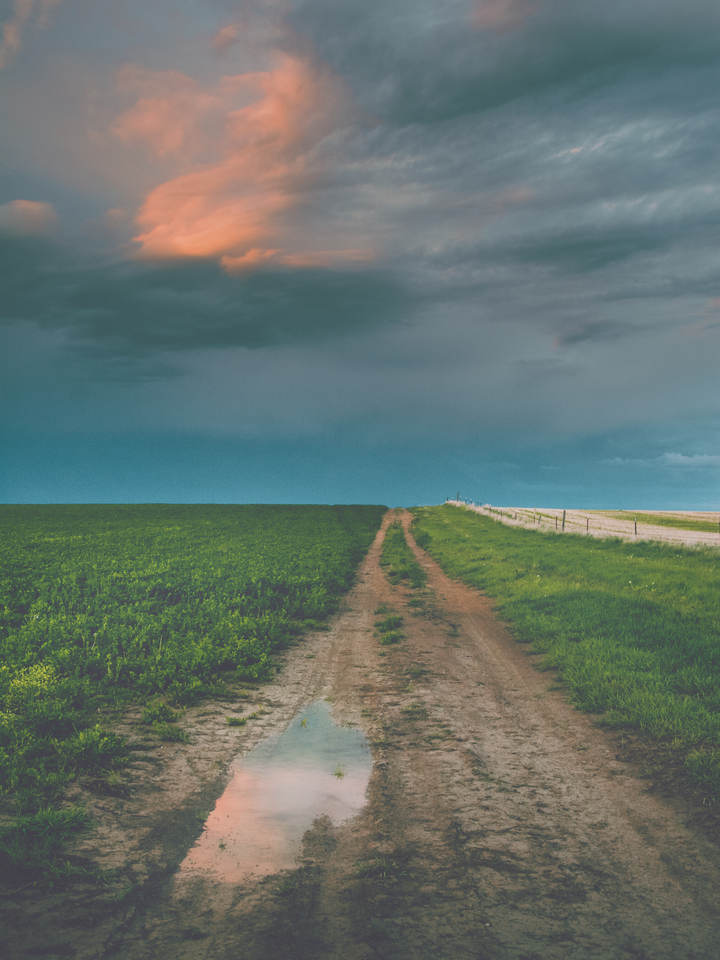 Reflection Road