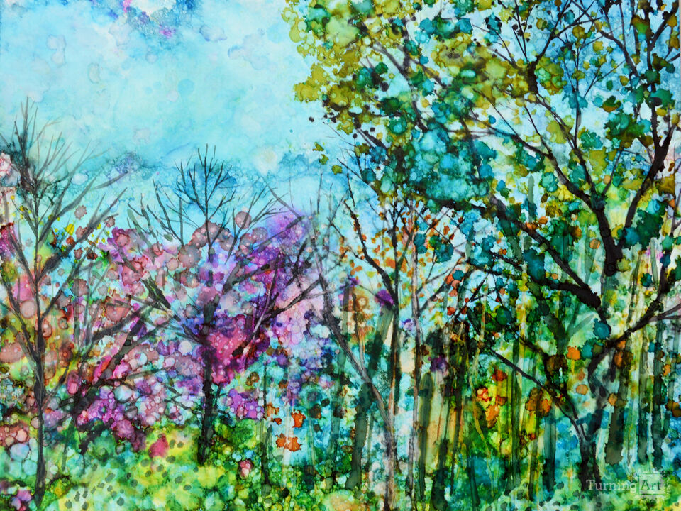 Early Spring in North Carolina