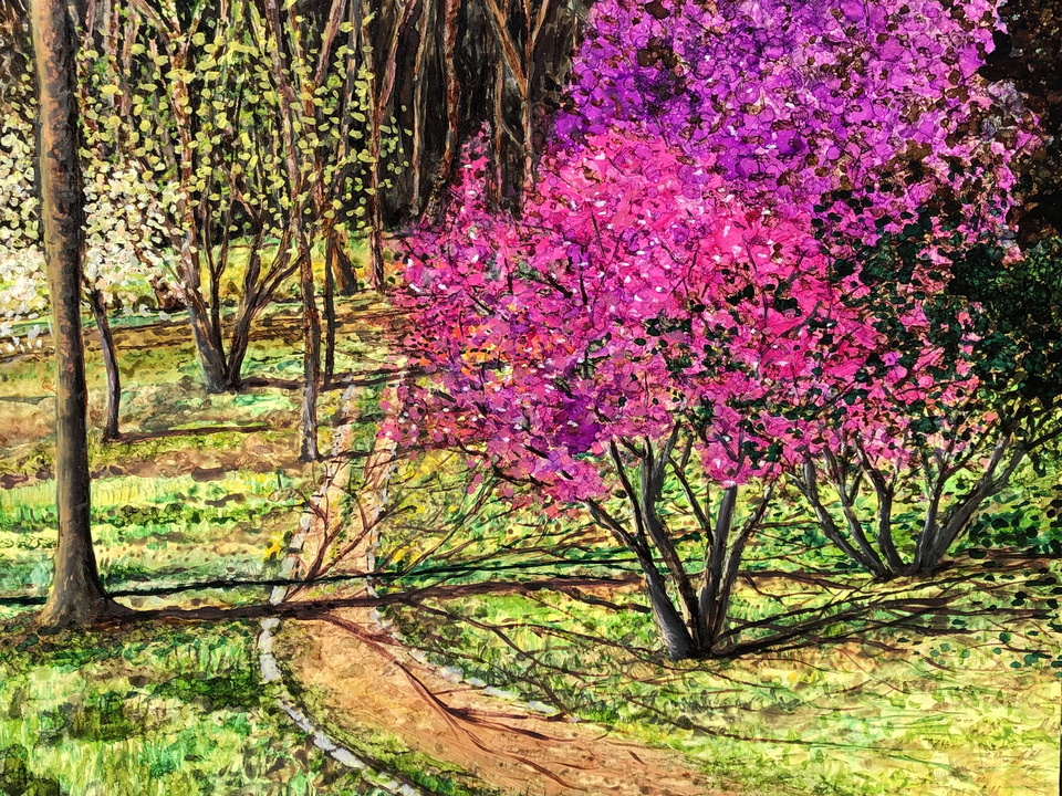 Eastern Redbuds