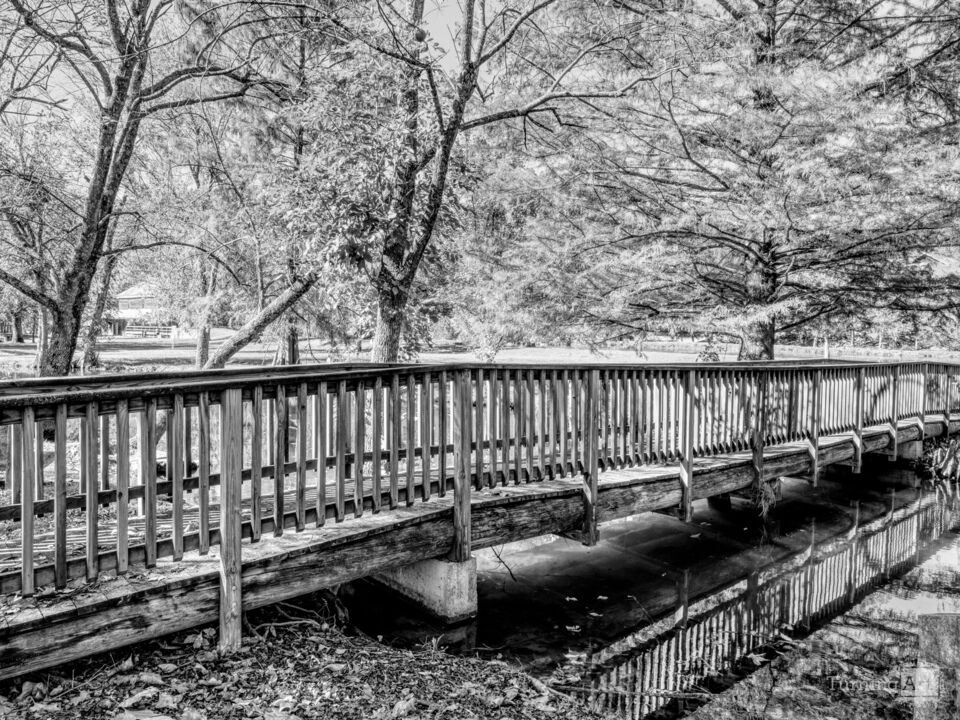 Wooden Walkway Bridge Jolly Mill Park Grayscale