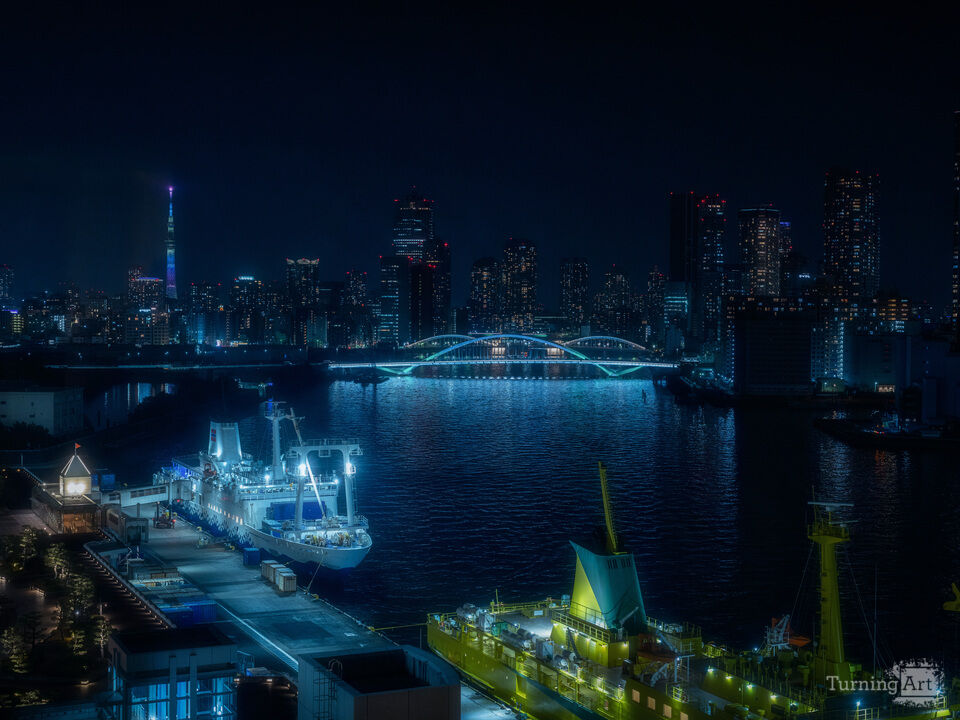 Tokyo Bay Skyline After Dark