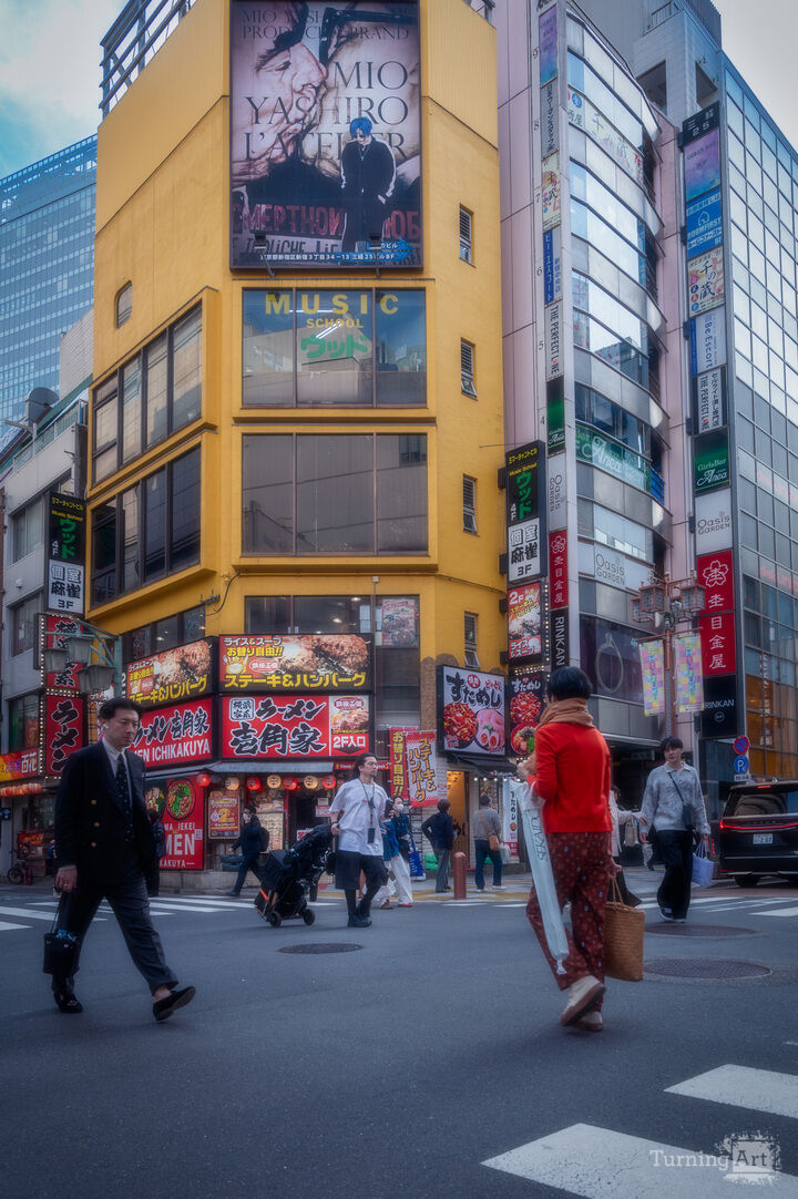 Tokyo Daylight Crossing