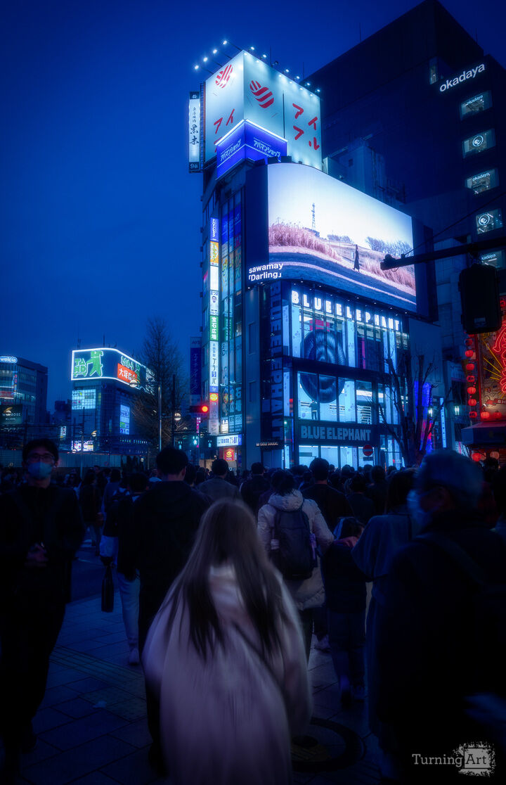Blue Hour Crossing Tokyo