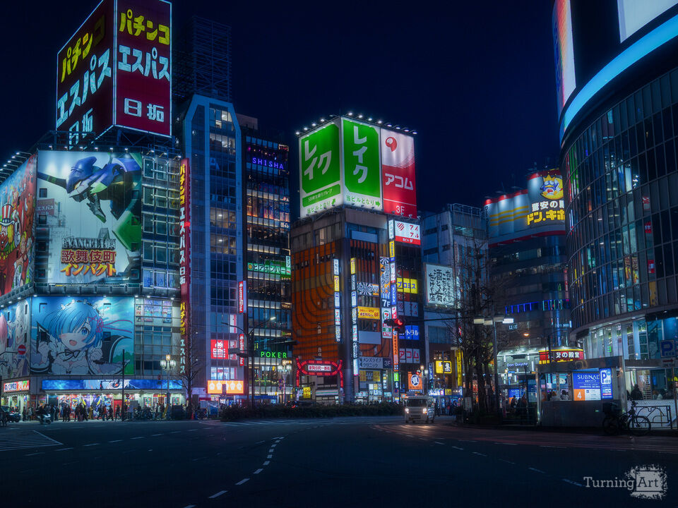 Neon Nights in Shinjuku