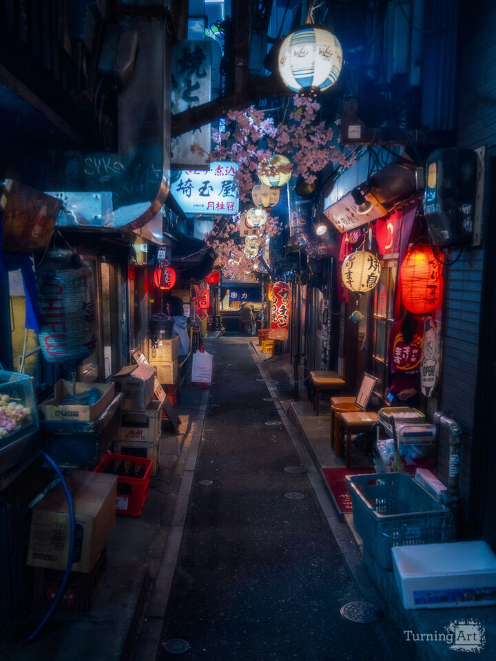 Hidden Lantern Passage Tokyo