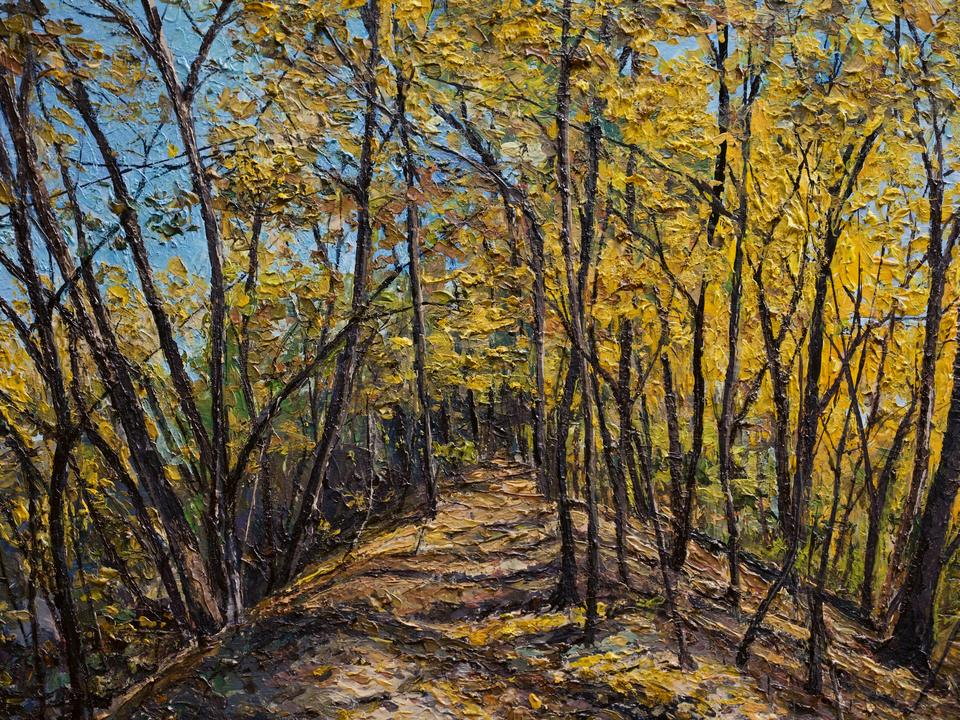 Brecksville Reservation