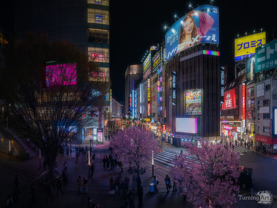 Shinjuku Electric Bloom