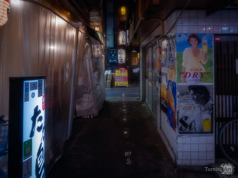 Hidden Passage Osaka
