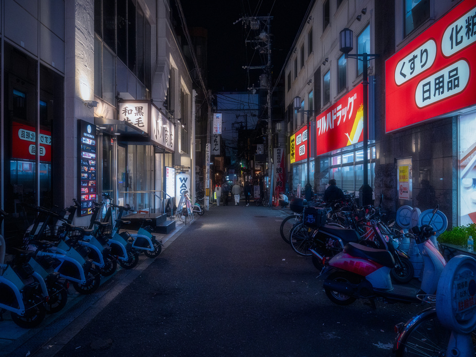 Silent Osaka Lane