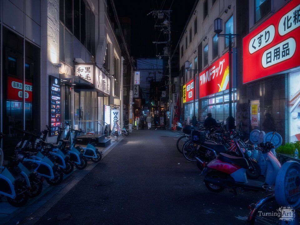 Silent Osaka Lane
