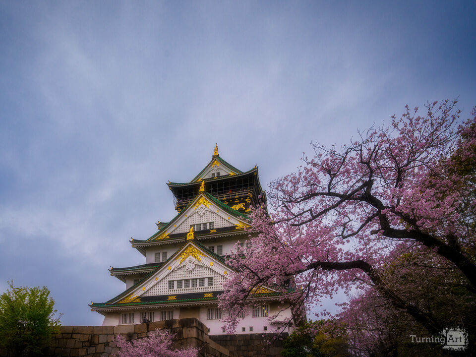 Osaka Castle in Bloom