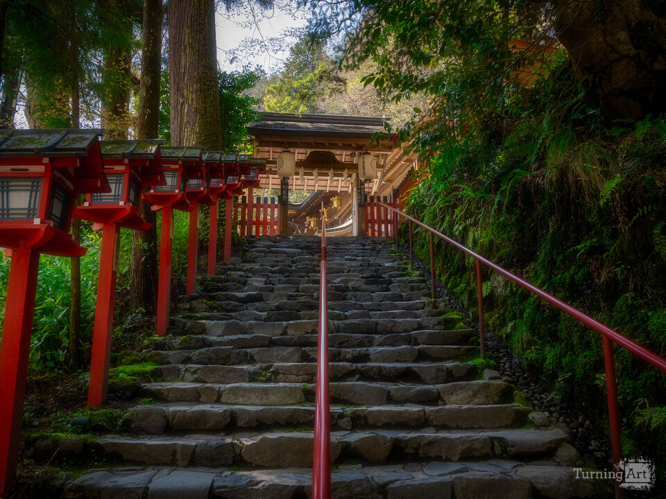 Moss Temple Stairway