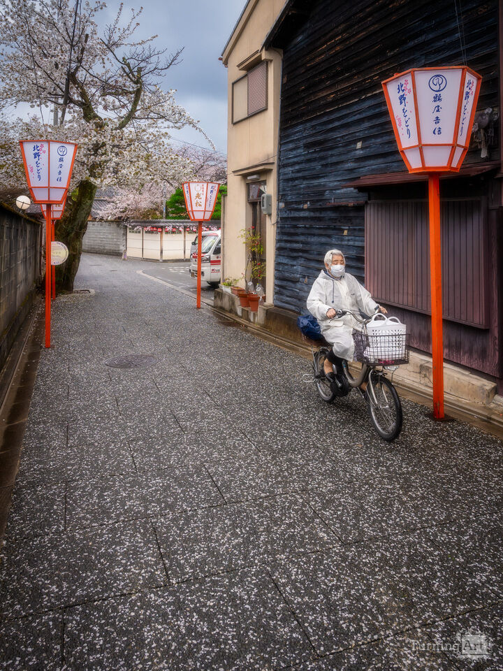 Rainy Kyoto Alley