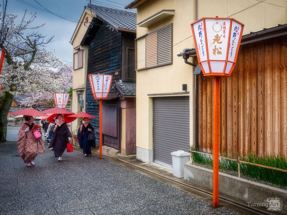 Geisha District 