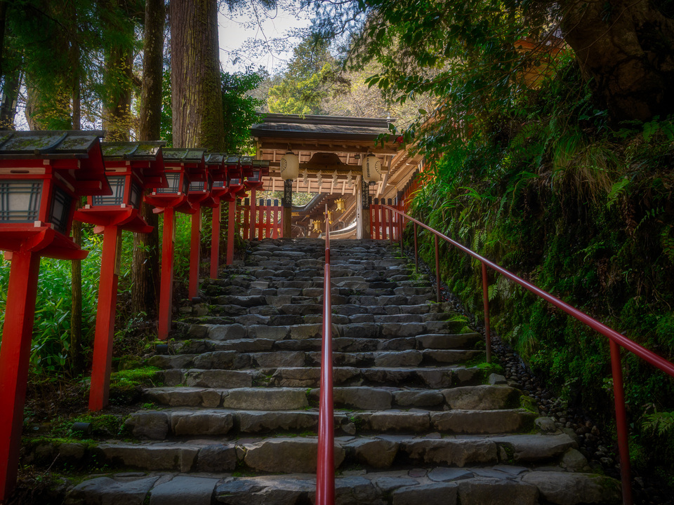 Moss Temple Stairway