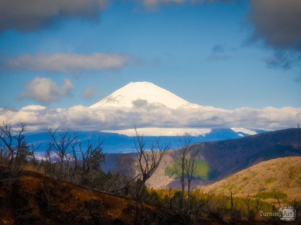 Mount Fuji Beyond the Hills